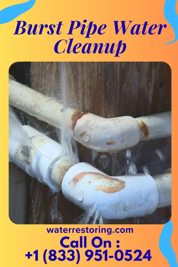 Burst Pipe Water Cleanup in Swepsonville, NC