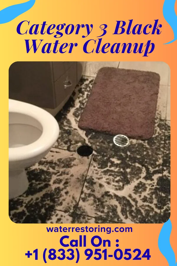 Category 3 Black Water Cleanup in Swepsonville, NC