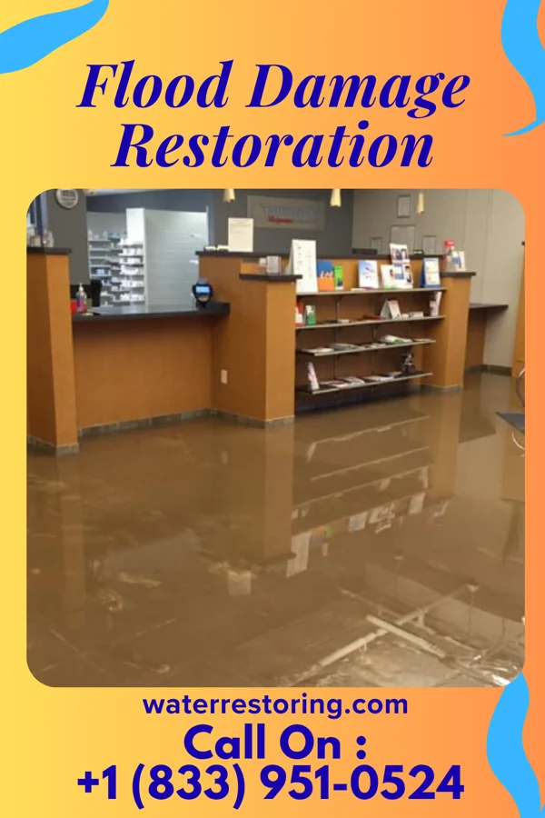 Flood Damage Restoration in Swepsonville, NC