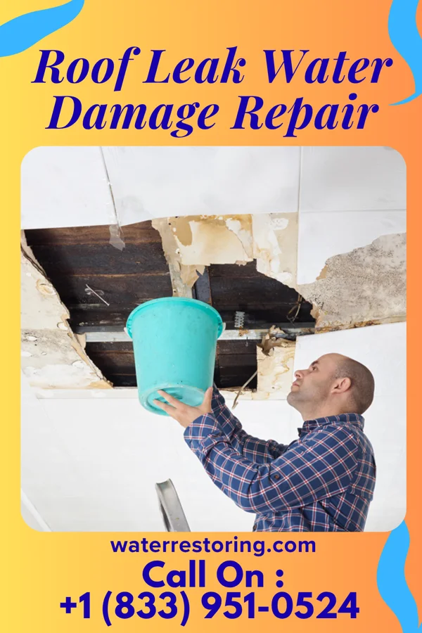 Roof Leak Water Damage Repair in Swepsonville, NC