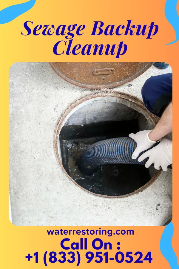 Sewage Backup Cleanup in Swepsonville, NC